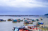 An Giang hỗ trợ kinh phí nâng cấp thiết bị giám sát hành trình tàu cá