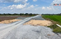 Cần Thơ quyết liệt tháo gỡ khó khăn vật liệu cho cao tốc trục ngang