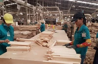 Ba ngành xuất khẩu tỉ USD của Việt Nam bị ảnh hưởng mạnh bởi quy định mới này