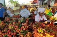 Bộ Công Thương đang xây dựng bản đồ nông sản Việt Nam