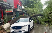 Cảnh báo thời tiết 3 miền trong giai đoạn chuyển mùa