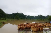 Cảnh báo nguy cơ sạt lở đất rất cao ở Lạng Sơn, Bắc Kạn