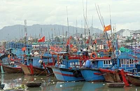 Kiến nghị Thủ tướng dùng ngân sách bù giá xăng dầu cho ngư dân