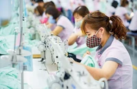 Đồng Euro mất giá đang tác động đến hàng Việt