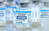 Chỉ đạo khẩn vụ gần 550 con heo chết sau tiêm vaccine dịch tả Châu Phi