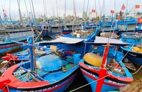 Còn 16 tàu thuyền trong vùng nguy hiểm của bão Noru