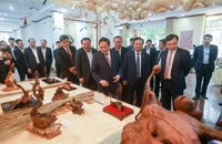 Ngành nông nghiệp có nhiều tin vui nhưng đối mặt với 3 chữ 'biến'