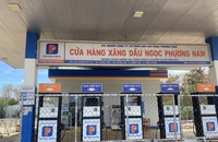Ít nhất 10 tỉnh, thành phố có cây xăng nghỉ bán dịp tết Quý Mão
