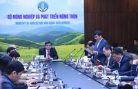Thanh long, chuối, mít… tấp nập lên cửa khẩu biên giới