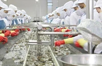 Top 7 sản phẩm thuỷ sản Trung Quốc mua nhiều nhất từ Việt Nam