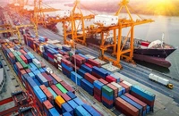 Một công ty Việt xuất khẩu điều sang Algeria nguy cơ mất 11 tỉ
