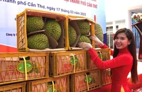 Thông báo mới nhất từ Trung Quốc về kết quả kiểm tra sầu riêng Việt Nam