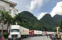 Chính phủ yêu cầu 8 bộ cấp bách giải quyết ùn ứ nông sản xuất khẩu