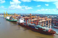 Hãng tàu, cảng biển... kêu cứu vì bị cắt điện liên tục