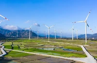Cập nhật dự án nhà máy điện gió ngoài khơi ở Cần Giờ, TP.HCM hơn 300.000 tỉ đồng