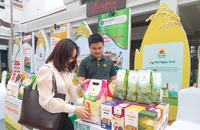 Thủ tướng yêu cầu thúc đẩy sản xuất, xuất khẩu gạo