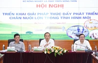 Thứ trưởng: 'Ngày nào cũng thịt heo luộc với kho tàu thì làm sao ăn hết được”