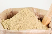 Việt Nam chưa đến mức phải hạn chế xuất khẩu cám gạo, sắn