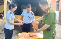 Lực lượng chức năng Lào Cai phát hiện một lô hàng vận chuyển trứng gà non đông lạnh không rõ nguồn gốc. Ảnh: DMS 