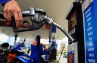 Thủ tướng yêu cầu tăng cường sử dụng hóa đơn điện tử trong bán lẻ xăng dầu
