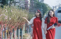 Dự báo thời tiết Tết Nguyên đán Giáp Thìn 2024