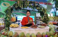 Xúc tiến thương mại, đầu tư cho các tỉnh trung du và miền núi phía Bắc
