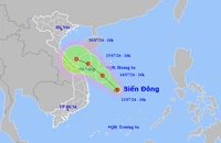 Biển Đông có áp thấp nhiệt đới, từ tối mai nhiều nơi mưa lớn