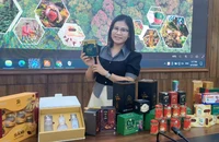 Sở hữu loài sâm quý hiếm, Việt Nam học được bài học gì từ sâm Hàn Quốc?