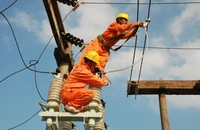 Giá điện chưa theo thị trường 
