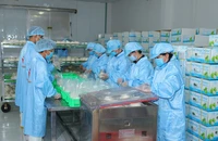 Xuất khẩu cá sấu, dừa tươi...hứa hẹn bùng nổ nhờ lý do này