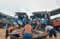 Nhiều tỉnh, thành dự kiến sẽ cấm biển từ ngày 6-9 để tránh thiệt hại do bão số 3