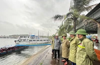 Chính phủ lập Bộ Chỉ huy tiền phương chỉ đạo phòng, chống bão số 3