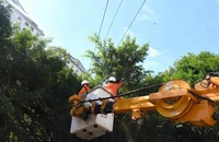 Bão số 3 sắp đổ bộ, ngành điện khuyến cáo người dân không làm 5 việc sau