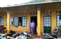 Tang thương: 71 người chết và mất tích, 732 người bị thương do bão số 3, thiệt hại nặng tài sản