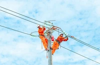 Bộ Công Thương: Năm 2023, EVN lỗ gần 22.000 tỉ đồng