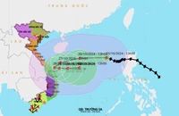Từ chiều mai, bão Trà Mi gây mưa lớn cho các tỉnh Trung Trung Bộ