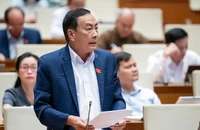 ĐBQH: ‘Khoáng sản là miếng mồi ngon' nên nhiều đối tượng tìm cách lách luật để khai thác