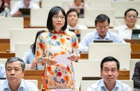 ĐBQH: 'Luật Điện lực sửa đổi thông qua tại một kỳ họp là quá gấp rút'