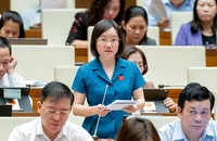 Phó Thủ tướng: Không thể ép người hành nghề kiểm toán phải tham gia hội kiểm toán