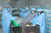Xuất khẩu bội thu, kỷ lục nối tiếp kỷ lục