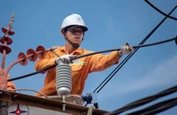 Lý do EVN thoát lỗ năm 2024 