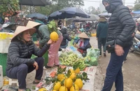 Giá trái cây tăng đến mức nào trong dịp Tết Nguyên đán 2025?