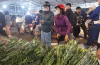Chợ Hà Nội ngày 28 Tết: Giá hoa ly tăng mạnh 800.000 đồng 1 bó 