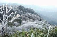 Rét bao trùm miền Bắc, Thủ tướng chỉ đạo không để dân đói, rét