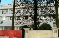 Từ 1-3, Bộ Công Thương hoạt động theo cơ cấu tổ chức mới