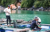 Sáng nay, Chương trình Cùng ngư dân Thắp sáng đèn trên biển đến với bà con ngư dân TP Hải Phòng