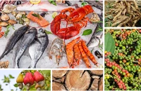 Xuất khẩu nông lâm thuỷ sản sang Châu Phi tăng 105%