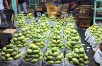 Bộ Công Thương cảnh báo về 1 doanh nghiệp trái cây Trung Quốc bị điều tra