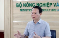 Xuất khẩu sầu riêng sụt giảm nghiêm trọng, Bộ Nông nghiệp và Môi trường họp khẩn