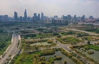 Đề xuất chuyển 86 thẩm quyền của Bộ trưởng Bộ Nông nghiệp và Môi trường về cấp tỉnh